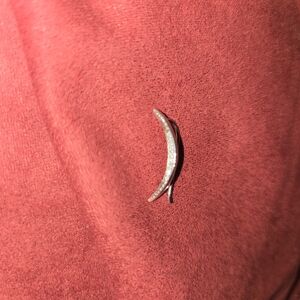 Silver Crescent Moon Earring
